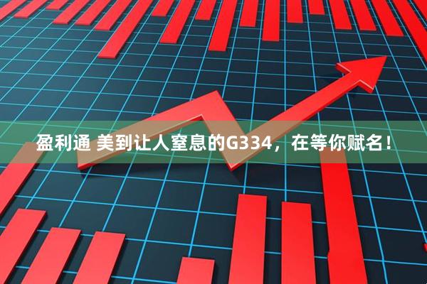 盈利通 美到让人窒息的G334，在等你赋名！