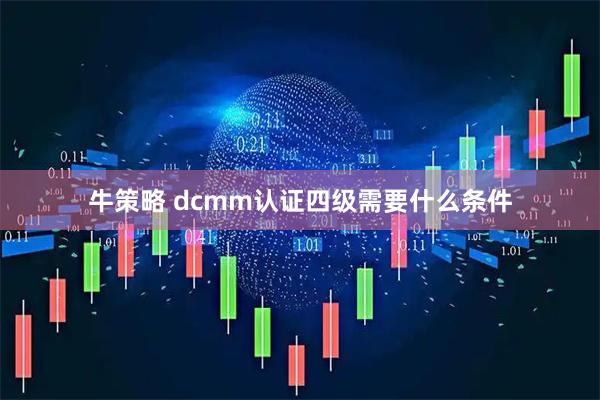 牛策略 dcmm认证四级需要什么条件