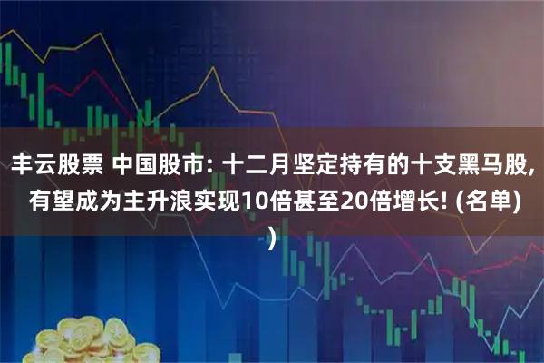 丰云股票 中国股市: 十二月坚定持有的十支黑马股, 有望成为主升浪实现10倍甚至20倍增长! (名单)