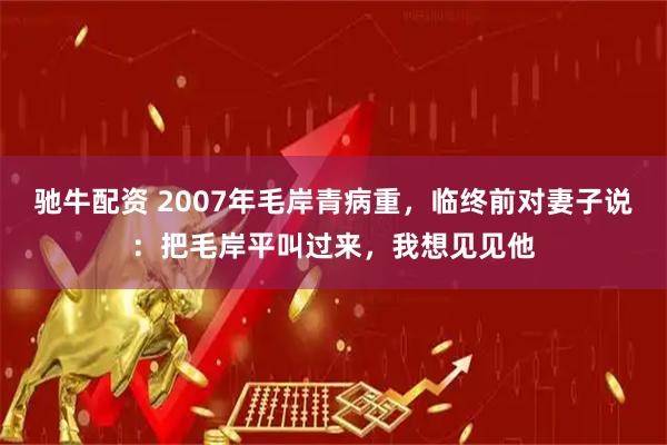 驰牛配资 2007年毛岸青病重，临终前对妻子说：把毛岸平叫过来，我想见见他