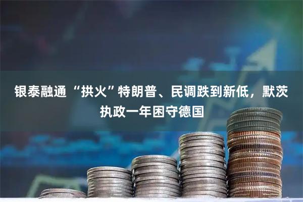 银泰融通 “拱火”特朗普、民调跌到新低，默茨执政一年困守德国